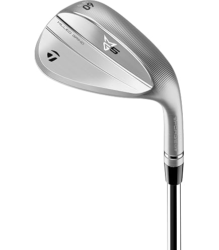 Amazon.com : TaylorMade MG4 Chrome HB 54* Sand Wedge 54-13 DG 115